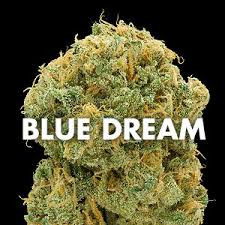 Acheter Blue Dream en ligne